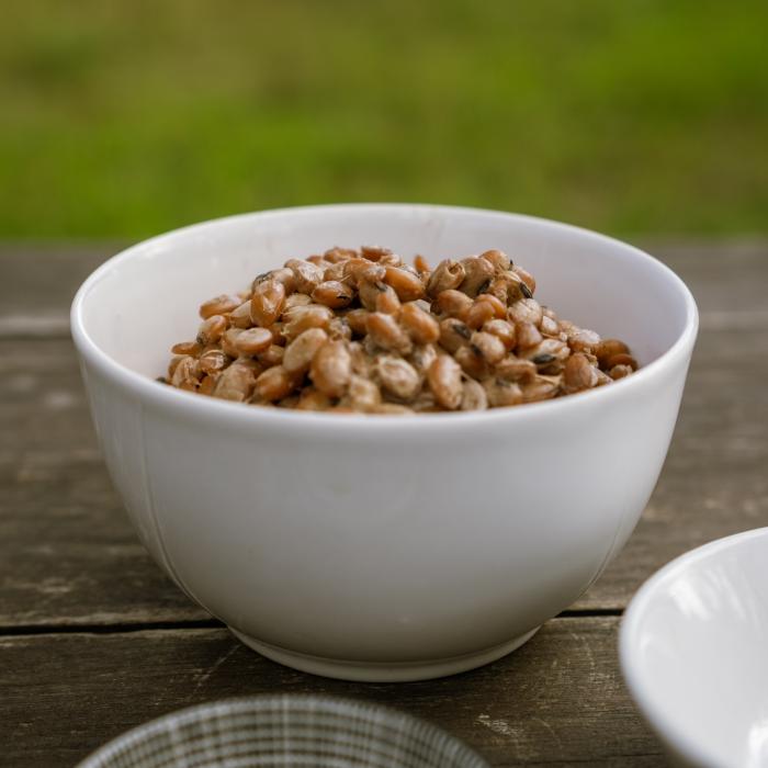 natto fermento de soja en un bowl blanco sobre una mesa y fondo verde