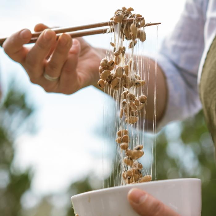 natto fermento de soja japones en un plato