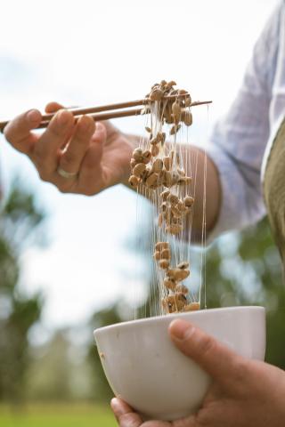 Natto fermento de soja en un plato blanco 